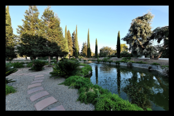 12918 Road 36 1/2, Madera, CA 93636 