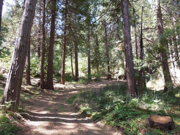 7671 Forest Dr, Fish Camp, CA 93623 