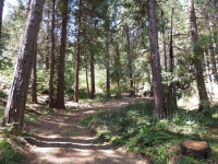 7671 Forest Dr, Fish Camp, CA 93623 