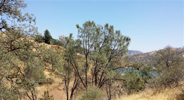 Galileo Court #11 Hidden Lake Estates 2, Friant, CA 93626 