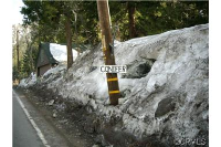 0 Conifer, Forest Falls, CA 92339 