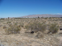 E Ave 0415-181-21, Hesperia, CA 92345 