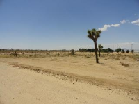 Smoketree Street, APN 0410-122-12, Hesperia, CA 92345 