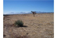 Mariposa APN3039-431-05, Hesperia, CA 92345 