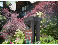 966 Willow Creek # 34, Lake Arrowhead, CA 92352 