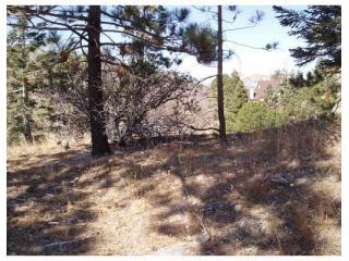 0 BRENTWOOD Dr, Lake Arrowhead, CA 92352 