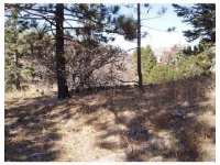 0 BRENTWOOD Dr, Lake Arrowhead, CA 92352 