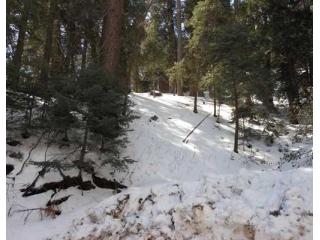 524 COMMUNITY, Lake Arrowhead, CA 92352 