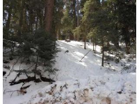 524 COMMUNITY, Lake Arrowhead, CA 92352 