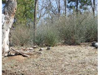 1485 The Circle, Lake Arrowhead, CA 92352 