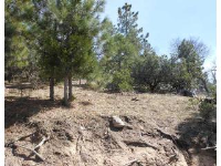 1489 THE CIRCLE, Lake Arrowhead, CA 92352 