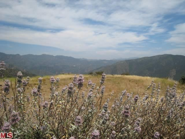 0 Yellow Hill Rd, Malibu, CA 90265 