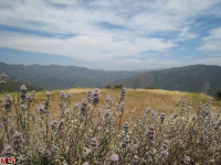 0 Yellow Hill Rd, Malibu, CA 90265 