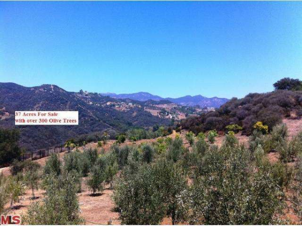 0 Decker Cyn, Malibu, CA 90265 