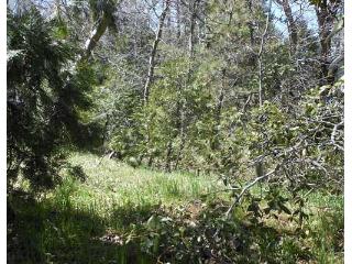 316 TRIANGLE NOOK ROAD, Crestline, CA 92322 