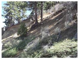 801 Menlo Drive, Big Bear Lake, CA 92315 