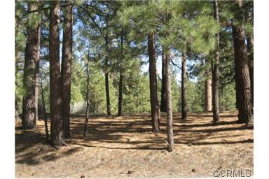 39747 Lakeview Dr., Big Bear, CA 92315 