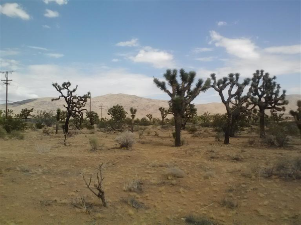 Jackson Road, APN 0436-021-10, Apple Valley, CA 92307 