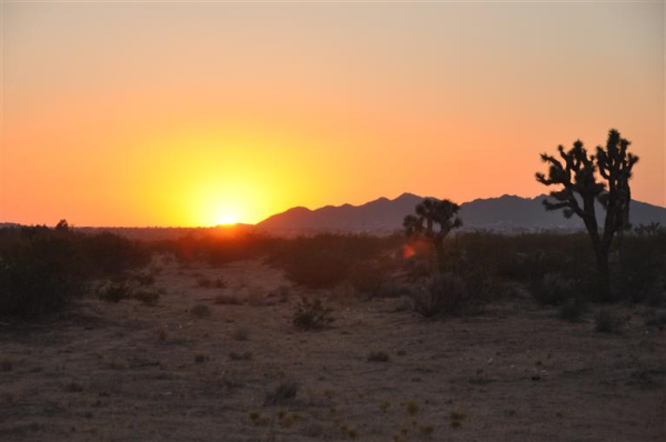 Thunderbird Road, APN 0436-202-54, Apple Valley, CA 92307 