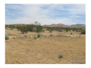 8 Acres, Apple Valley, CA 92307 