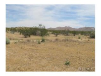 8 Acres, Apple Valley, CA 92307 