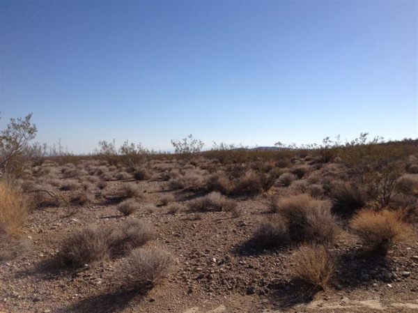 Lessing/Shadow Mt-23, Adelanto, CA 92301 