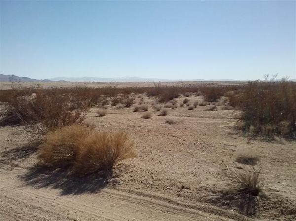 Purple Sage, APN 0460-211-03, Adelanto, CA 92301 