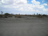 Sheep Creek Road, APN 0457-103-40, Adelanto, CA 92301 