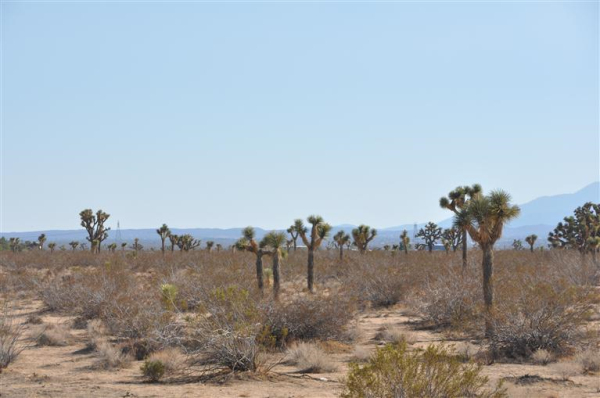 Cassia Road, APN 3129-221-04, Adelanto, CA 92301 