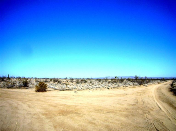 Caughlin Road, APN 3129-391-05, Adelanto, CA 92301 