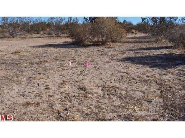 5930 Yucca Mesa Rd, Yucca Valley, CA 92284 