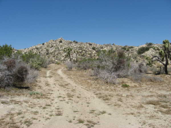 5408 Carlsbad, Yucca Valley, CA 92284 