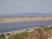 950 Pelican Island Court, Salton City, CA 92274 