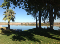 1541 Quail Trail, Blythe, CA 92225 