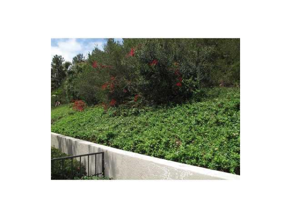 23421 Pacific Park Dr. #14-A, Aliso Viejo, CA 92656 