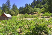 275 Mund Rd, Saint Helena, CA 94574 