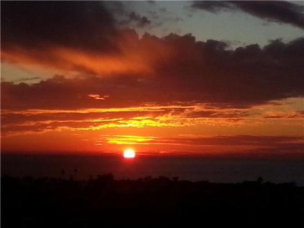 6677 Paseo Del Norte G, Carlsbad, CA 92011 