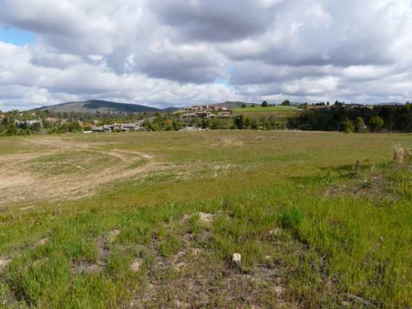 3029 Wildflower Dr, Encinitas, CA 92024 