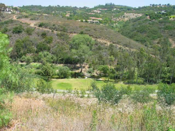 3395 Wildflower Valley Dr, Encinitas, CA 92024 