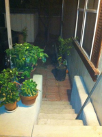 200 N. Grand Ave #33, Anaheim, CA 92801 