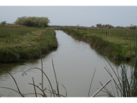 0 NE HENRY MILLER RD, Los Banos, CA 93635 