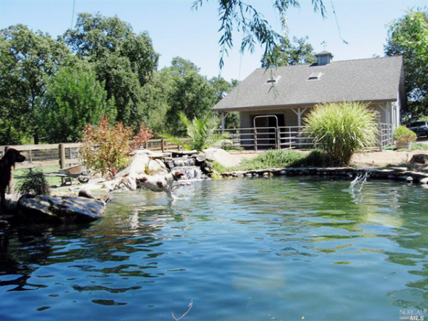 1345 WOODY CREEK Ln, Windsor, CA 95492 