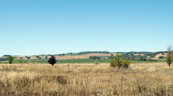 5750 Stage Gulch Road, Sonoma, CA 95476 