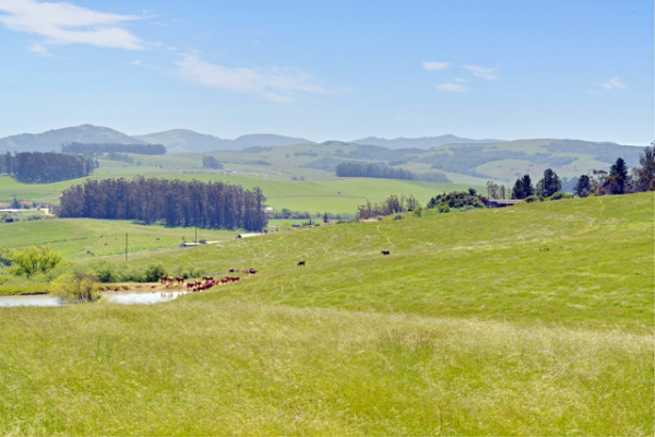 6484 Bodega Ave, Petaluma, CA 94952 