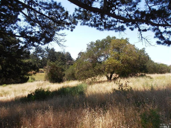 1755 Petaluma North Blvd, Petaluma, CA 94952 