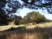 1755 Petaluma North Blvd, Petaluma, CA 94952 