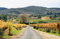 6000 Wildwood Mountain Road, Santa Rosa, CA 95404 