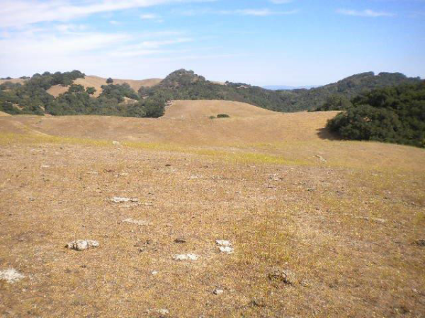 0 Southfork Ranch, Paso Robles, CA 93446 