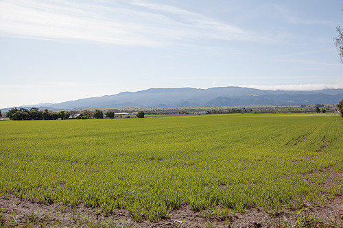 3942 Roblar #1, Santa Ynez, CA 93460 