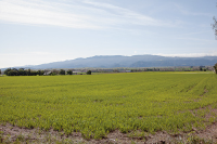 3942 Roblar #1, Santa Ynez, CA 93460 